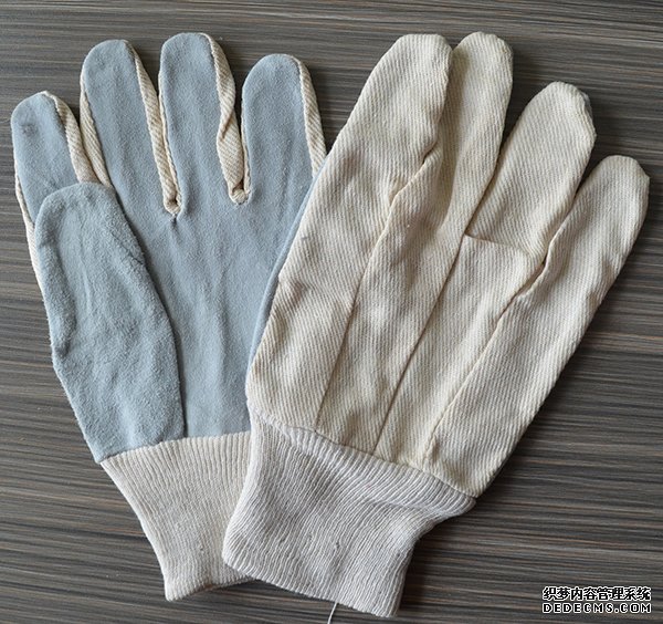 LEATHER DRIVER GLOVES