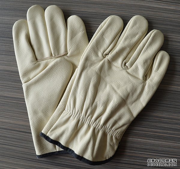 LEATHER DRIVER GLOVES