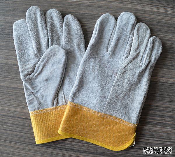 LEATHER DRIVER GLOVES