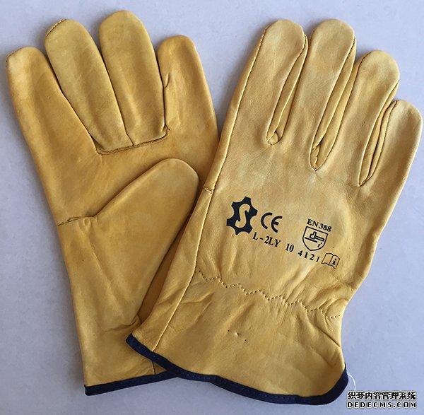 LEATHER DRIVER GLOVES