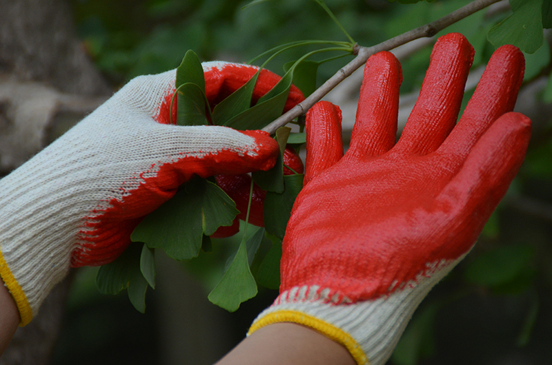 LATEX COATED AND SMOOTH FINISH GLOVE